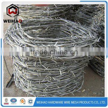Reinforce and Firm Barbed Wire Used on the Wall photo-3