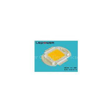 Bridgelux LED Module 60W 5000K Natural White Flood Light LED Module