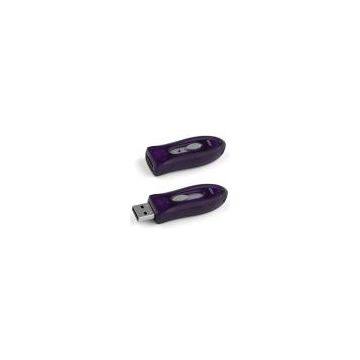 Kingston USB Flash Driver