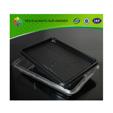 Customized Plastic Disposable Food Tray photo-2