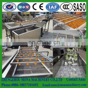 Surfing Type Vegetable Washing Machine| Stainless Steel Fruit and Vegetable Washing Machine With CE photo-5