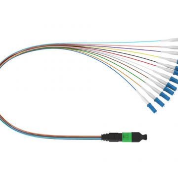 MPO-LC Fanout 12F Patch Cord