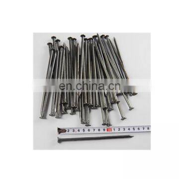 Galvanized Steel Iron Nail (Hebei Supplier)