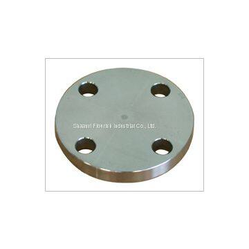 Blind flange