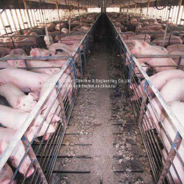 High Quality Building Pig Farm House Built With Structure Steel Pipe Truss