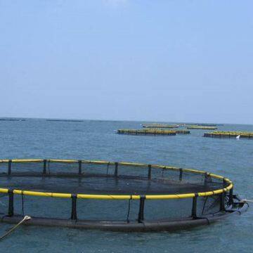 Floating Fish Cage Anti Stormy Waves Net Cage Fish Farming