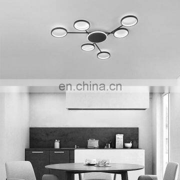 Nordic light luxury art creative living room lamp atmospheric personality post-modern minimalist lamps bedroom ceiling lamp