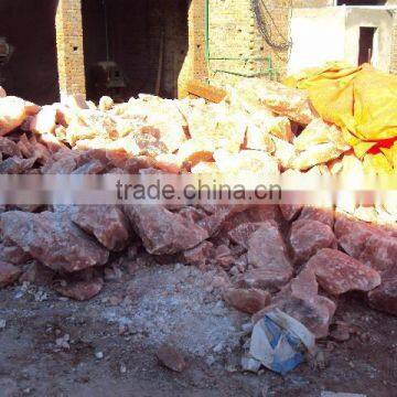 Himalayan Salt Lick - Animal Special photo-5