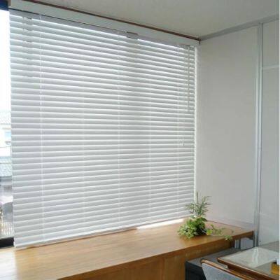 Other Blinds