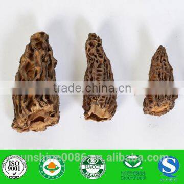 100% Wild Morel Mushroom/dried Morel/morchella