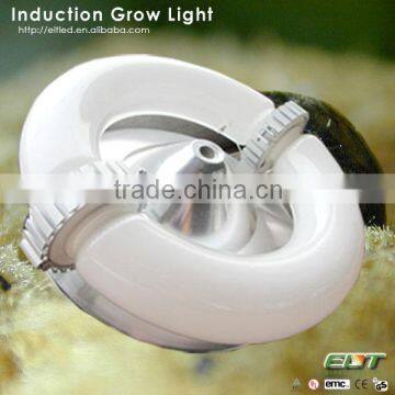 supply high efficiency grow induction lamp and led mushroom grow light