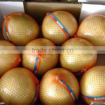 Chinese fresh honey pomelo export