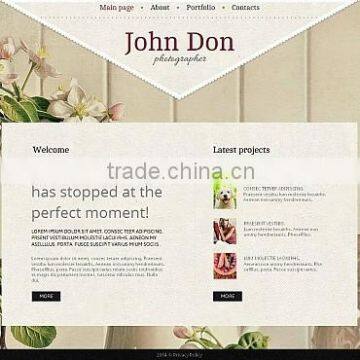 Family Photographers photo-2