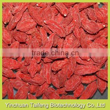 Low Pesticide Goji Fruit Can be Used as Snack photo-3