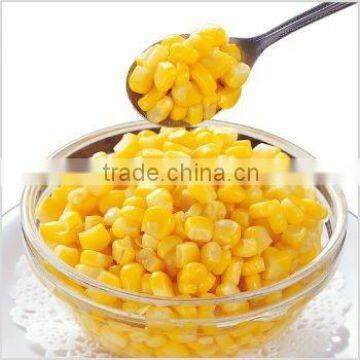 Fresh Corn for Sale Canned Sweet Corn Factory photo-2