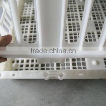 Chicken Cage for Live Poultry Farming photo-3