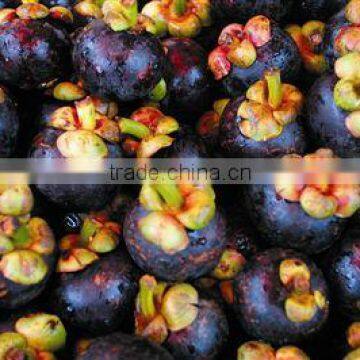 Mangosteen