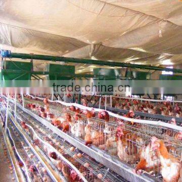 poultry farm automatic poultry feeding equipment