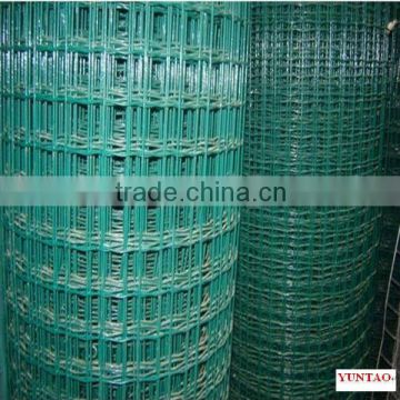 Europe Welded Wire Mesh in Rolls