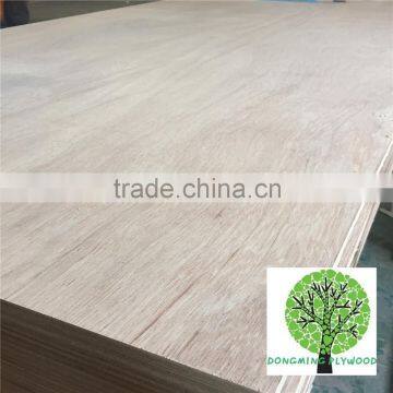 Wholesale Plywood Supplier Keruing Veneer Shipping Container Plywood photo-5