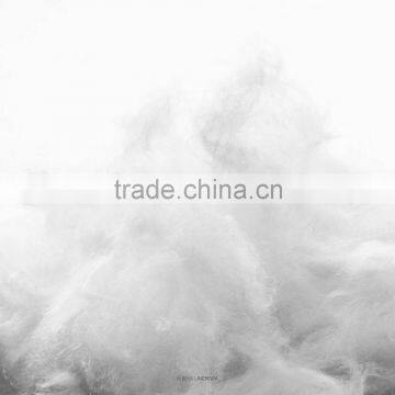 Elegant And Comfortable Cotton Comforter Polyester Filling photo-3