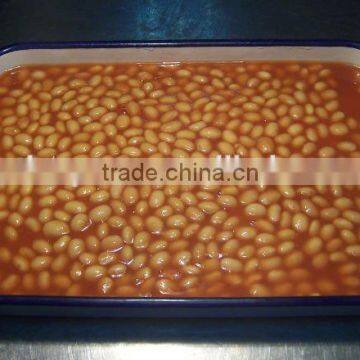 FDA KOSHER Canned White Kidney Beans in Tomato Paste photo-2