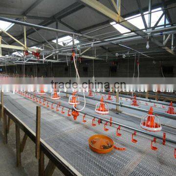 broiler chicken house with all equipment on ground