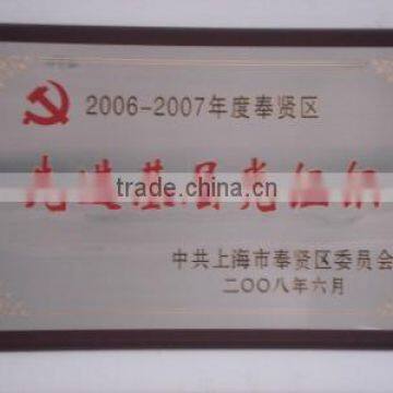 Advanced Primary Party Organization