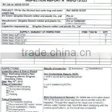 BV Inspection Report