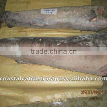 FROZEN SWORD FISH HGT