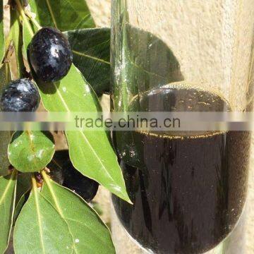 LAUREL BERRY OIL 100 % PURE & NATURAL LAUREL SEED OIL photo-4