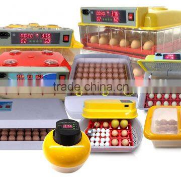 Fully Automatic Domestic Poultry Eggs Incubator With Humidifier/great Quality Egg Incubator photo-2