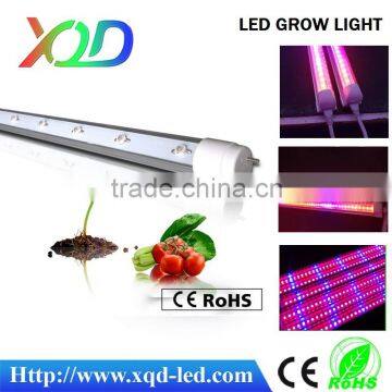 Grow Lamp Best Seller Led Tubes t5 Grow Light Lamp Use in Plant Factory ,hydroponic Factory