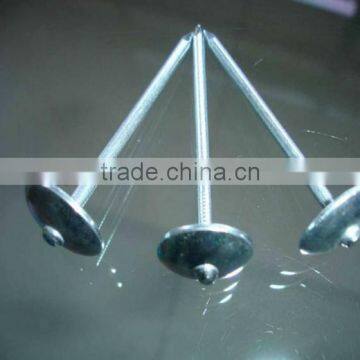 Umbrella Roofing Nail (Manufacturer)