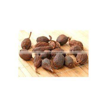Vietnam Black Cardamom Supplier (Ms. Emma:+84965152844) photo-4