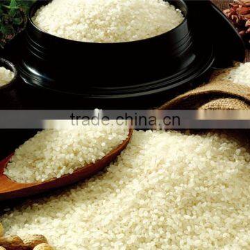 round grain rice / short grain rice / japanese short grain rice