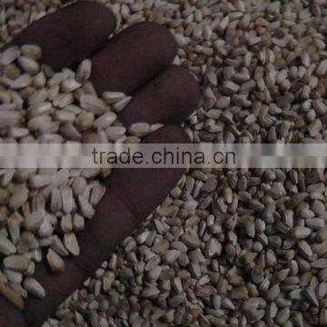 Safflower Seed photo-5
