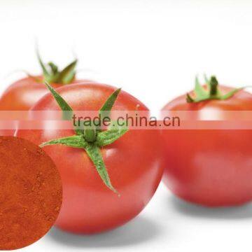 Hot sale dehydrated tomato powder