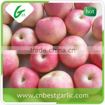 Chinese fresh royal gala apples for sell