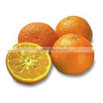 2016 Special Mandarin Offer - Fresh Kinnow / Mandarin Crop 2016