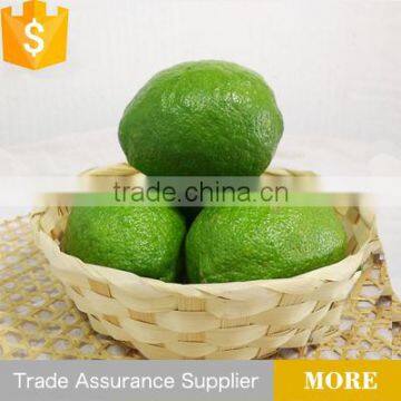 wholesale fresh fruit green lime for sale