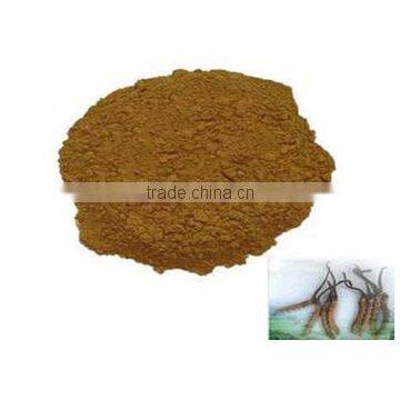 Cordyceps Sinensis Extract