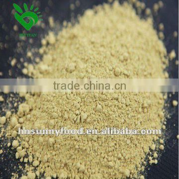 Good Payment Terms Dried Ginger Powder