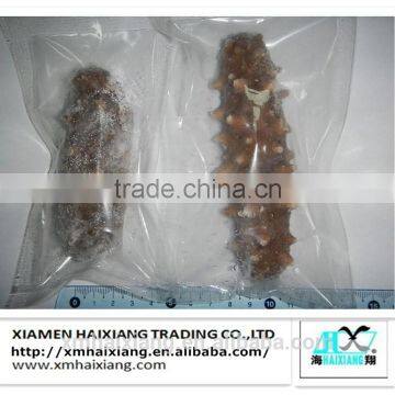 Fresh sea cucumber buyers