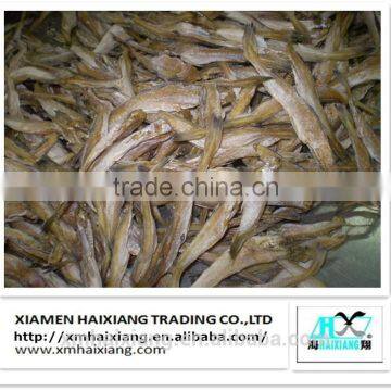 High Quality Dried Baby Shrimp Shell Price photo-4