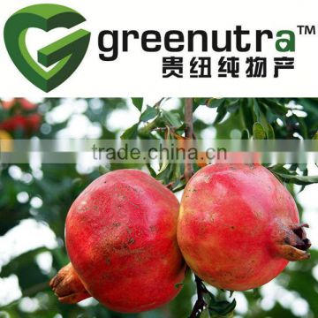 Pomegranate seed extract