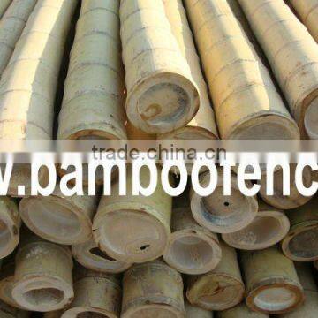 Natural bamboo pole