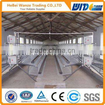 Galvanized layer chicken cage,stainless steel bird cage(factory)