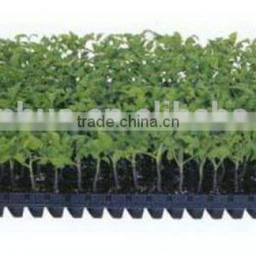 Factory in Zhejiang China useful 50h seedling trays