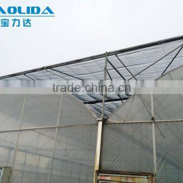 BLD Large Multi-span Plastic Film Greenhouse/agriculture Greenhouse photo-5